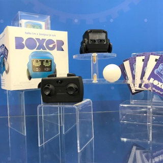 Boxer