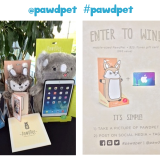 Pawd Pet Final