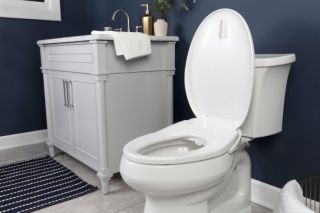 Biobidet